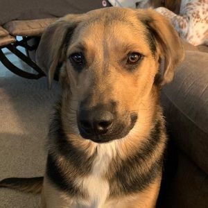 Meet your Posher, Sandy